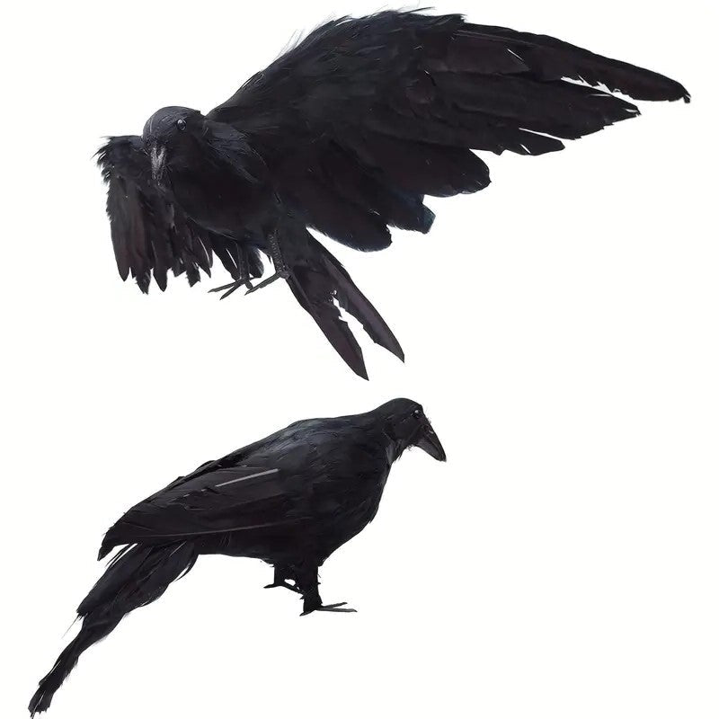 The Midnight Raven: Realistic Halloween Feathered Crow